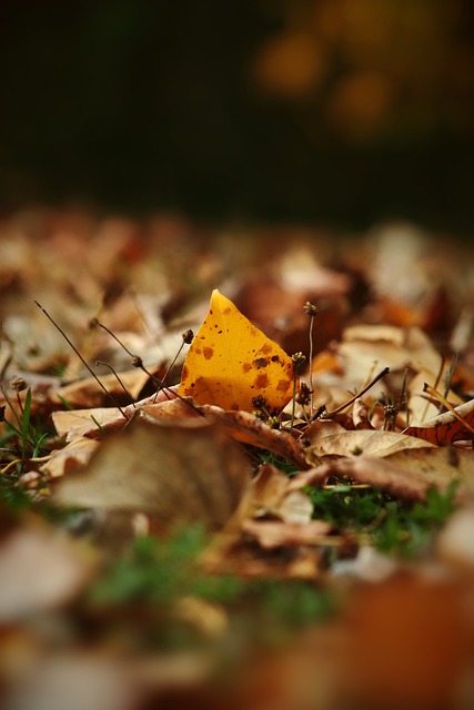 中留下了深 中留下了深