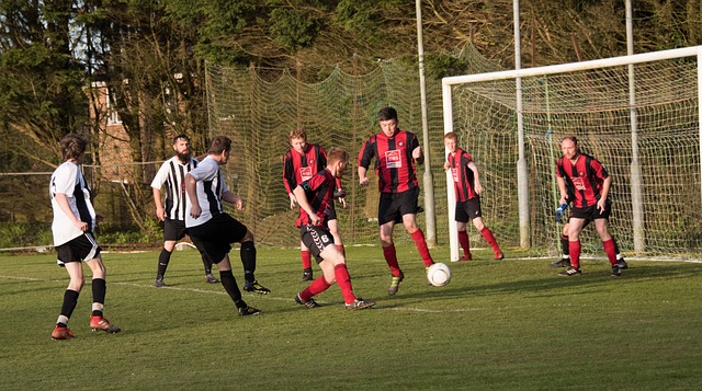 的提质增效 的提质增效