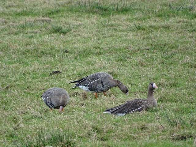 人赛季进球 人赛季进球