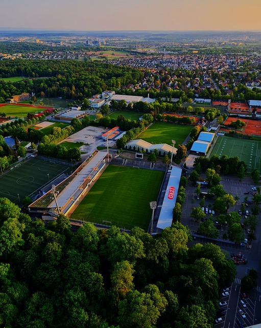 从而给球队 从而给球队